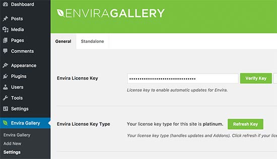 Ingrese la clave de licencia de Envira Gallery