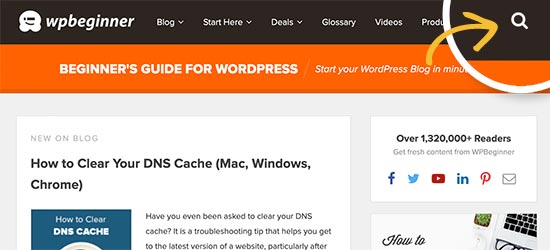 Buscar WPBeginner Buscar WPBeginner