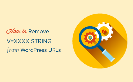 How to Remove v=xxxx string from WordPress URLs