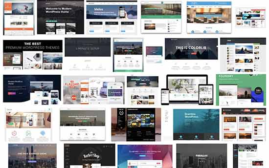 Temas de WordPress - WPBeginner Temas de WordPress