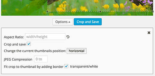 opciones adicionales para el editor de miniaturas opciones adicionales para el editor de miniaturas