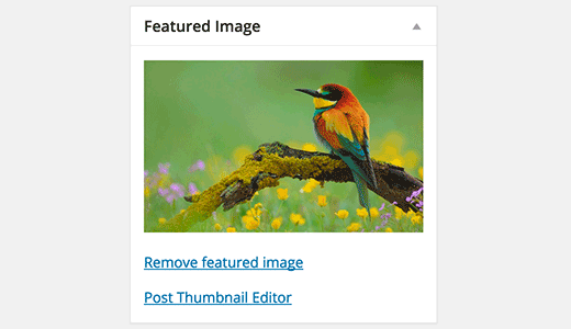 Inicie el editor de miniaturas de publicaciones desde la pantalla del editor de publicaciones Inicie el editor de miniaturas de publicaciones desde la pantalla del editor de publicaciones