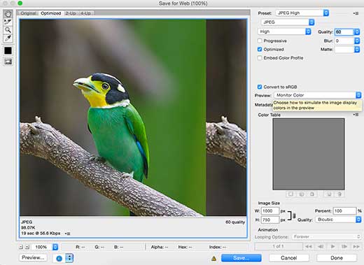 Guardar imágenes para la web en Photoshop Guardar imágenes para la web en Photoshop