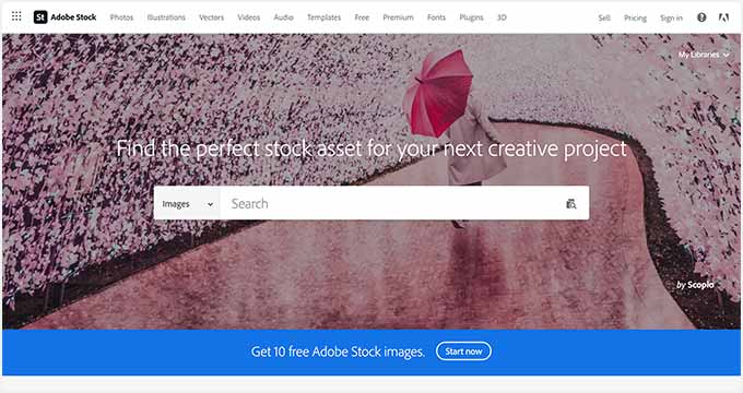 adobestock