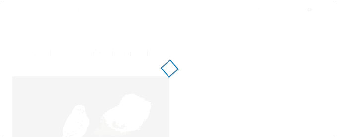 Ejemplo de precargador de LoftLoader