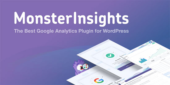 MonsterInsights MonsterInsights