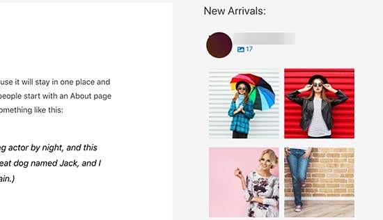 Vista previa del widget de la barra lateral de Instagram Vista previa del widget de la barra lateral de Instagram