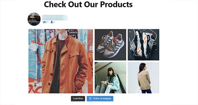Instagram feed preview Instagram feed preview