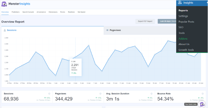 MonsterInsights' report MonsterInsights' report