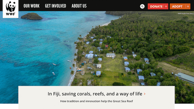 An example of a not-for-profit website An example of a not-for-profit website
