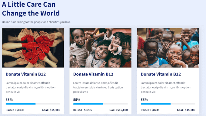 An example of a non-profit template, included in the SeedProd page and website builder plugin An example of a non-profit template, included in the SeedProd page and website builder plugin