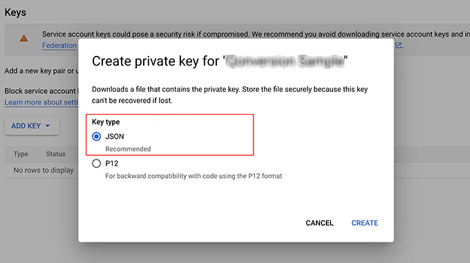 Choose JSON as type and create API key Choose JSON as type and create API key