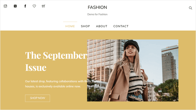 Shoppe WordPress theme Shoppe WordPress theme