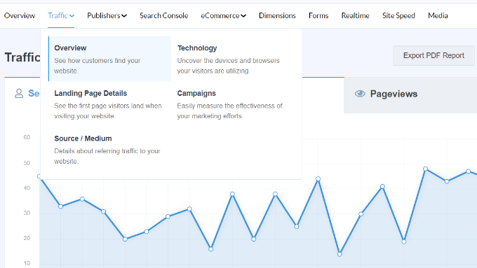 Traffic report in MonsterInsights Traffic report in MonsterInsights