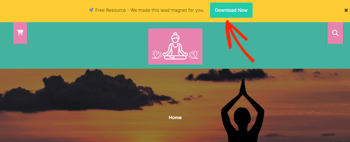 Adding an alert bar to your WordPress website, blog, or online marketplace An example of an inline content upgrade used to promote a premium resource.