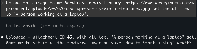 AI Prompt for Adding a Public Image to Your WordPress Media Library AI Prompt for Adding a Public Image to Your WordPress Media Library